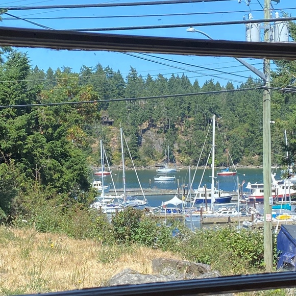 Meet your Posher, Maddie - Picture 1 of 1